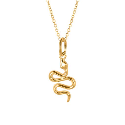 Gold-plated snake charm necklace